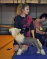 Национальная выставка собак CAC – голый кобель Rolana Family Interstellar