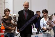 Интернациональная выставка собак CACIB – Россия, Нижний Новгород (Нижегородская область)