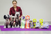 Club Dog Show Club Winner – hairless female Grand Passage Afrodita