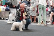 International Dog Show CACIB – powderpuff female Diao Chan´s Aimeia