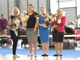 International Dog Show CACIB – powderpuff female Dakota Dei Freuhartang