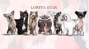 Lorita Star