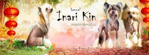 Inari Kin