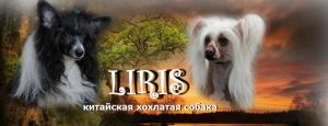 dlya Liris 