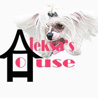Aleksa's House