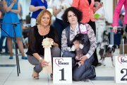Club Dog Show Club Champion – hairless male Star Level Tamerlan Top In The Black