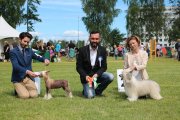 Интернациональная выставка собак CACIB – пуховый кобель Invisible Charm Gattaca
