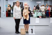 Club Dog Show Candidat in Club Winner – powderpuff male Ksolo Club Yahontoviy Moy