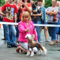 Интернациональная выставка собак CACIB – голый кобель Una De Gato Avokaduh