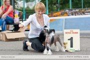 Club Dog Show Candidat in Club Winner – Russia, Vologda (Vologda)