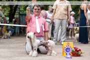 Club Dog Show Club Winner – hairless male Olegro Katrin Douphin