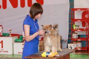 Национальная выставка собак CAC – пуховый кобель Status Imperial Gift Of Fortune