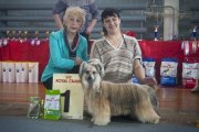 Club Dog Show Candidat in Club Winner – Russia, Cherepovets (Vologda)