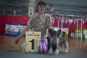 Club Dog Show Candidat in Club Winner – hairless male Status Imperial Endless Dream
