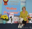 Club Dog Show Candidat in Club Winner – Russia, Rodniki (Ivanovo)