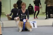 Национальная выставка собак CAC – Эстония, Нарва (Ида-Вирумаа)