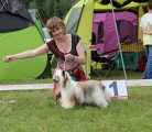 International Dog Show CACIB – Lithuania, Druskininkai (Alytus County)
