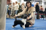 Национальная выставка собак CAC – пуховая сука Status Imperial Carina