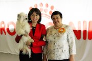 Национальная выставка собак CAC – пуховый кобель Nicely Done Of Angel's Legacy