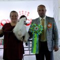 Club Dog Show Club Winner – powderpuff female Olegro Katrin Primadonna