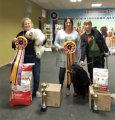Региональная выставка собак CAC – пуховая сука Olegro Katrin Primadonna
